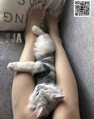 女教师日记2_BD免费观看韩国